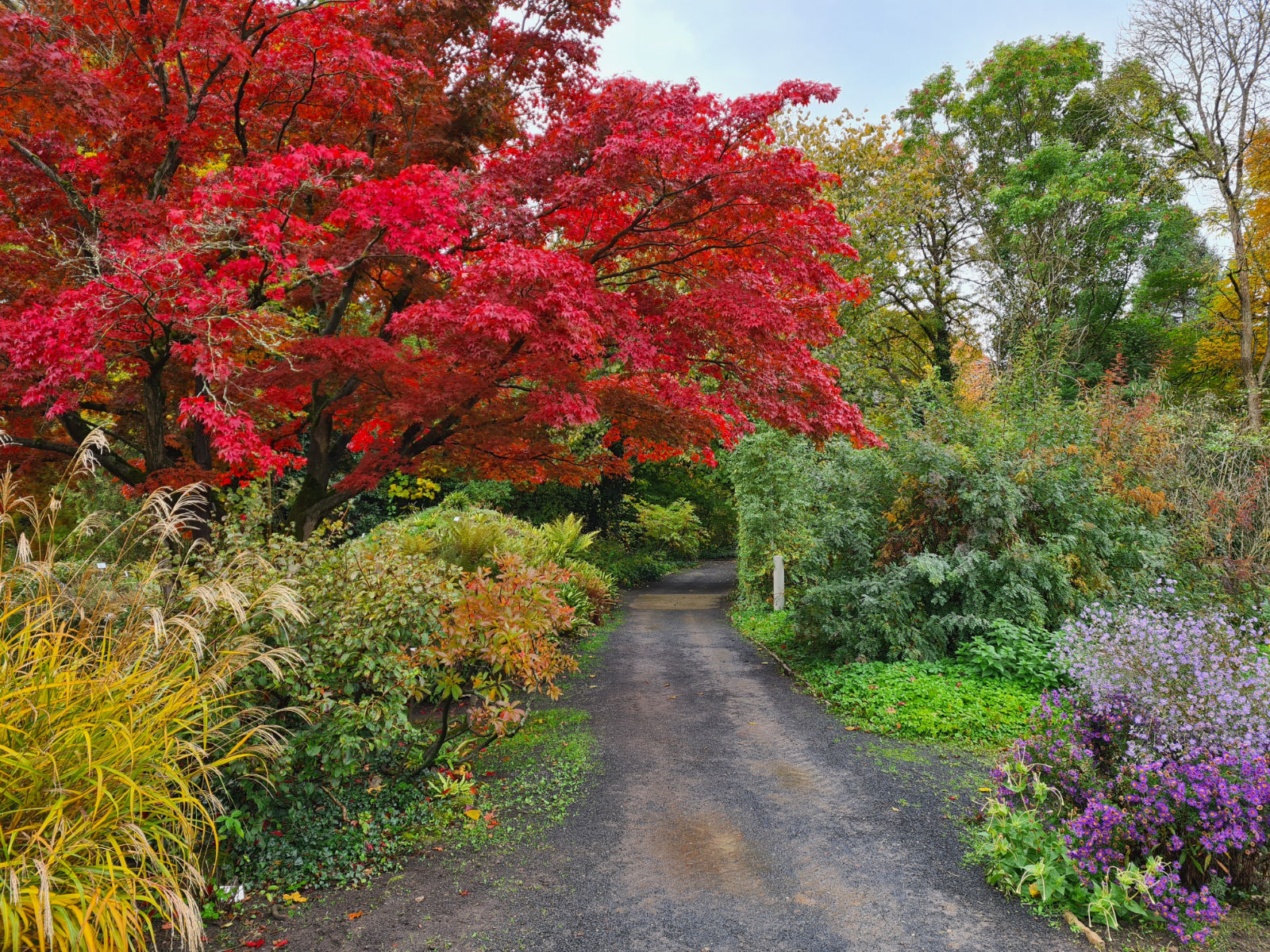 Der Alte Botanische Garten in Herbstfarben