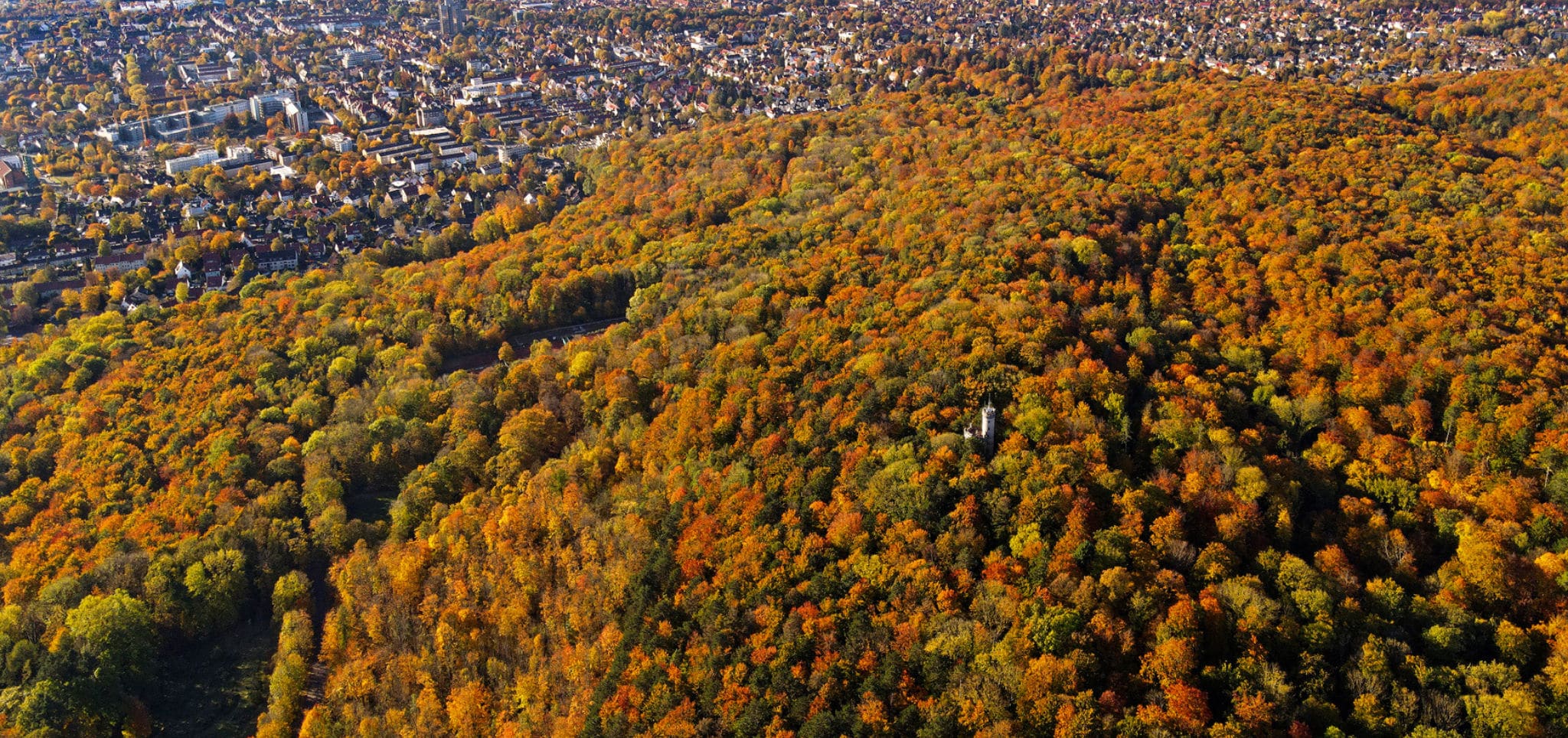 Luftaufnahme von Göttingen im Herbst