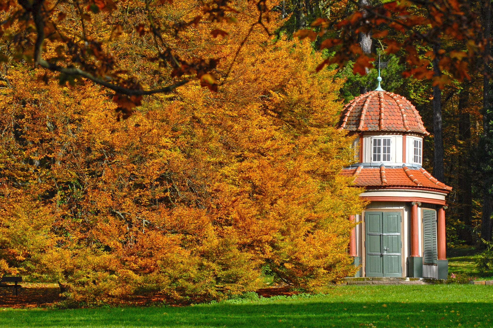 Herbst in Göttingen