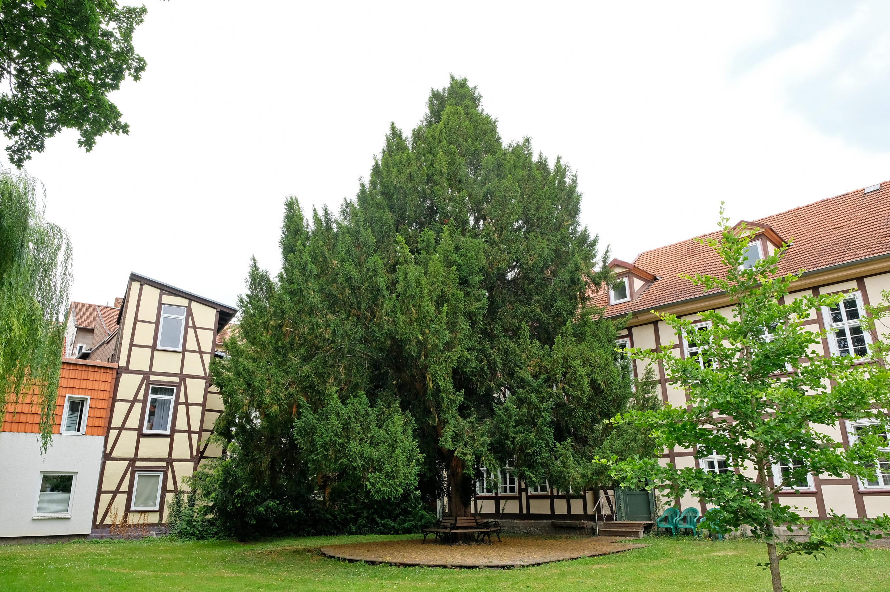 Grünes Göttingen