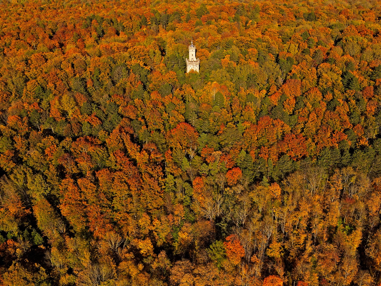 Bismarckturm im Herbstwald